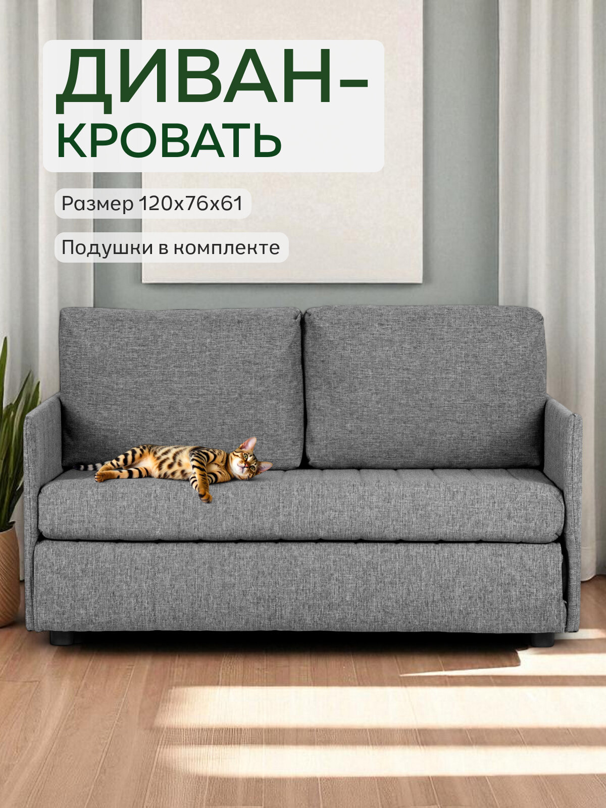 Divan24