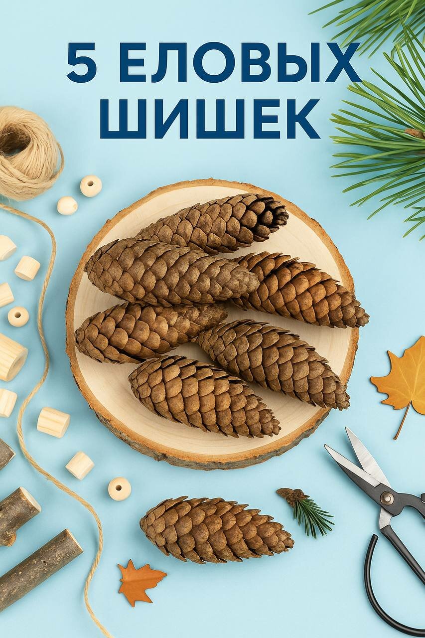 5 шт Набор шишек еловых для поделок и рукоделия натуральный материал 5 шт