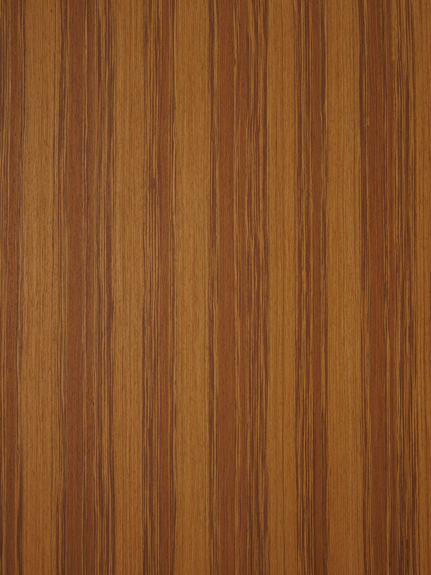 Панель стеновая (образец), шпон ALBERO 310S, 9х13,5 см, МДФ 10 мм, серия ONE, Varman.pro