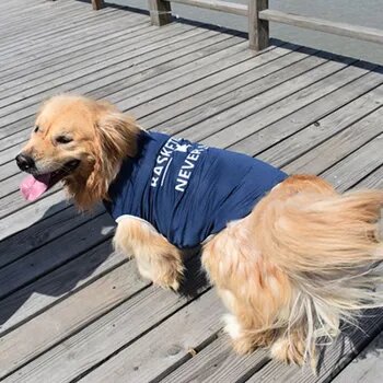 Летняя одежда для домашних животных футболки для собак баскетбольные майки для крупных собак футболки для средних и маленьких пород майки для золотистых ретриверов.