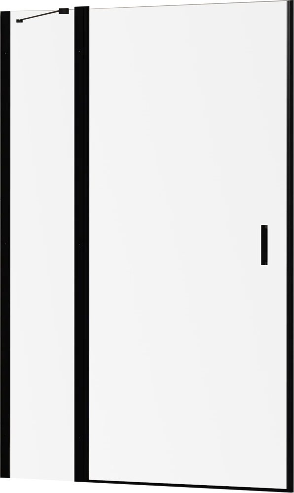 Душевая дверь в нишу RGW Leipzig LE-004-B стеклянная распашная 120 см с черным профилем одностворчатая немецкая