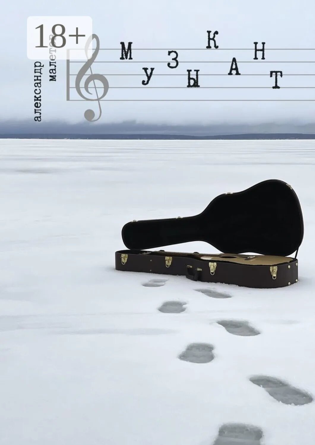 Музыкант [Цифровая книга]