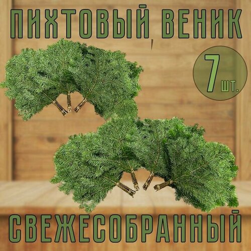 Веник Пихтовый свежесобранный для бани 7шт.