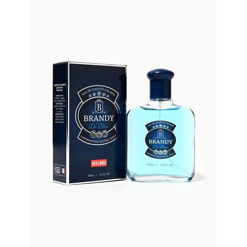 Туалетная вода мужская Brandy De Bleu 100 мл 636₽