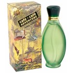 Туалетная вода Cafe Parfums Adventure Men - изображение