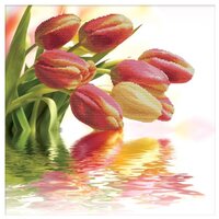 Белоснежка Набор для вышивания Весенние тюльпаны 51 x 51 см (7044-3D)