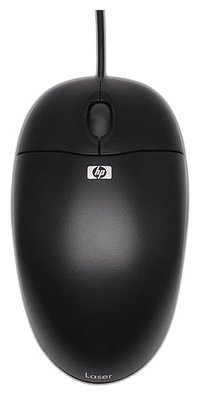 Мышь HP QY777AA черный оптическая (800dpi) USB (2but) (QY777AA)