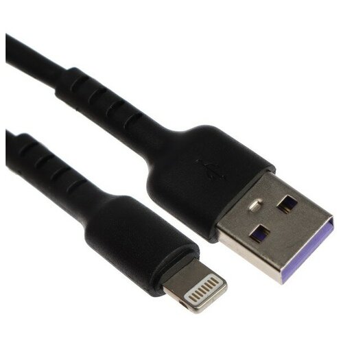 Кабель Exployd EX-K-1383, Lightning - USB, 2.4 А, 2 м, силиконовая оплетка, черный, 2 штуки кабель exployd classic ex k 489 lightning usb 2 м белый