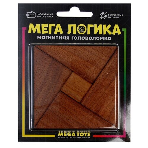 Магнитная головоломка по системе раннего развития Никитина, 5 деталей