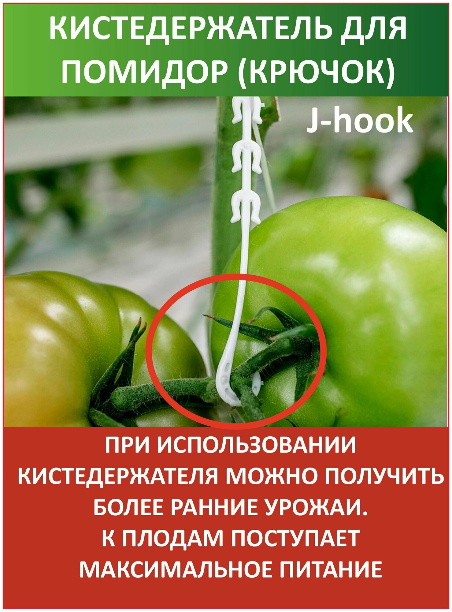 Кистедержатель для томатов помидор крючок- 50 штук - фотография № 3
