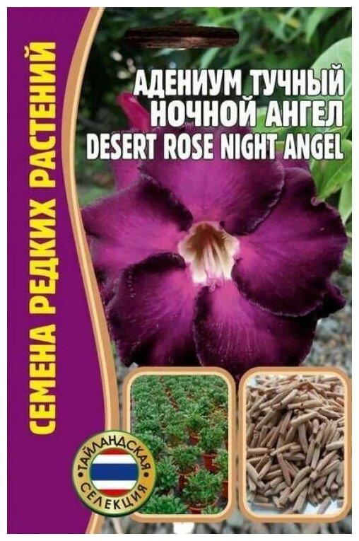 Семена адениума "Тучный ночной ангел", 3 штуки в упаковке