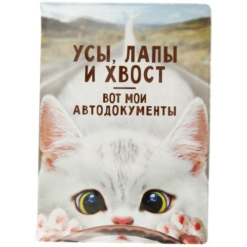 фото Усы, лапы и хвост - вот мои автодокументы