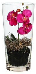 Искусственная орхидея фаленопсис в конической вазе, 30 см, Edelman, Mica