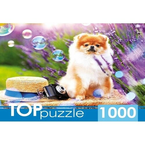 пазл top puzzle 1000 деталей и прищепа золотая осень Пазл TOP Puzzle 1000 деталей: Шпиц в саду