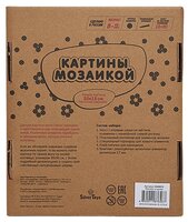 Molly Набор алмазной вышивки Белый букет (KM0044) 15х20 см