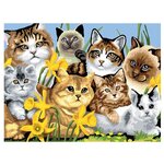 Royal & Langnickel Картина по номерам ''Кошки'' 28,5х39 см (PJL6) - изображение