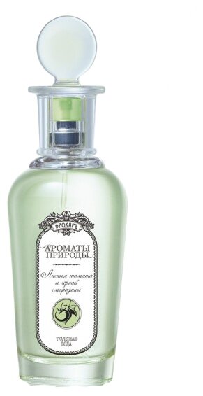 Brocard Parfums Туалетная вода Ароматы Природы "Листья Томата и Черная Смородина", 100 мл