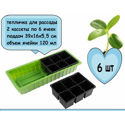 Мини-парник с крышкой, 6 шт, 39х16х5.5 см, 2 кассеты по 6 ячеек, набор для рассады также рассчитан на постоянное содержание кактусов и микрозелени