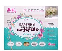 Molly Картина по номерам "Нежные пионы" 40х50 см (KD0054)