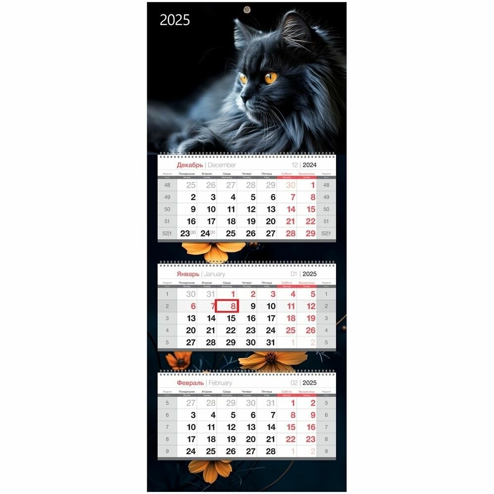 Календарь квартальный BG 3 блока на 3 гребнях, 330х810 мм Premium "Черный кот", с бегунком, 2025 год (369767)
