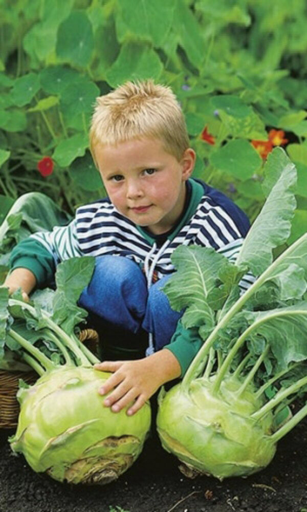 Семена Капуста кольраби Гигант 025гр (УД) Е/П 10 пакетиков