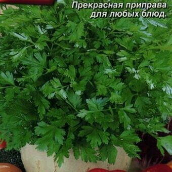 Семена петрушки Агрофирма АЭЛИТА "Частушка", двулетние, 1 пакет — фото 1