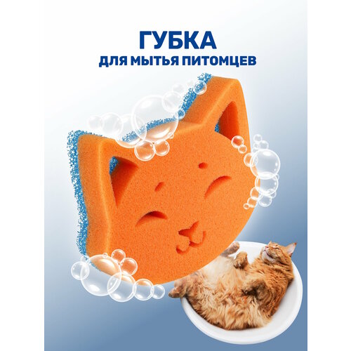 Губка для мытья кошек или собак, двусторонняя ZOORIK / Зурик / кошка, 1 шт