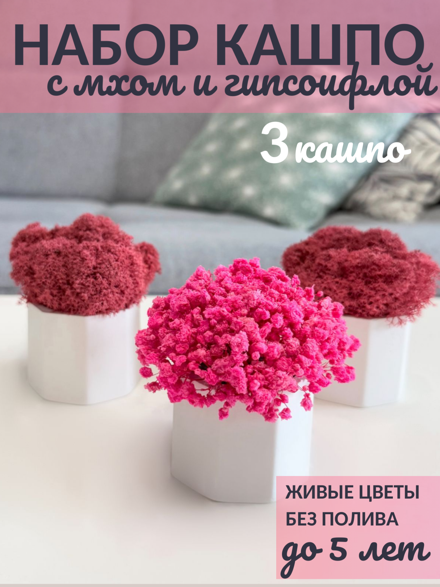Набор из 3 горшочков с стабилизированным мхом и гипсофилой цветы для декора дома