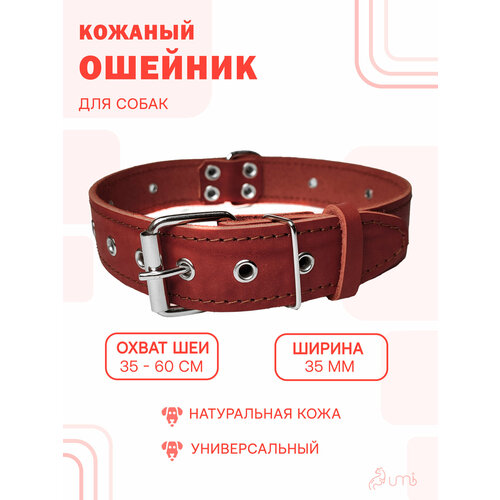 Кожаный ошейник (обхват шеи 35-60 см) для средней и крупной собаки / кожа - фетр