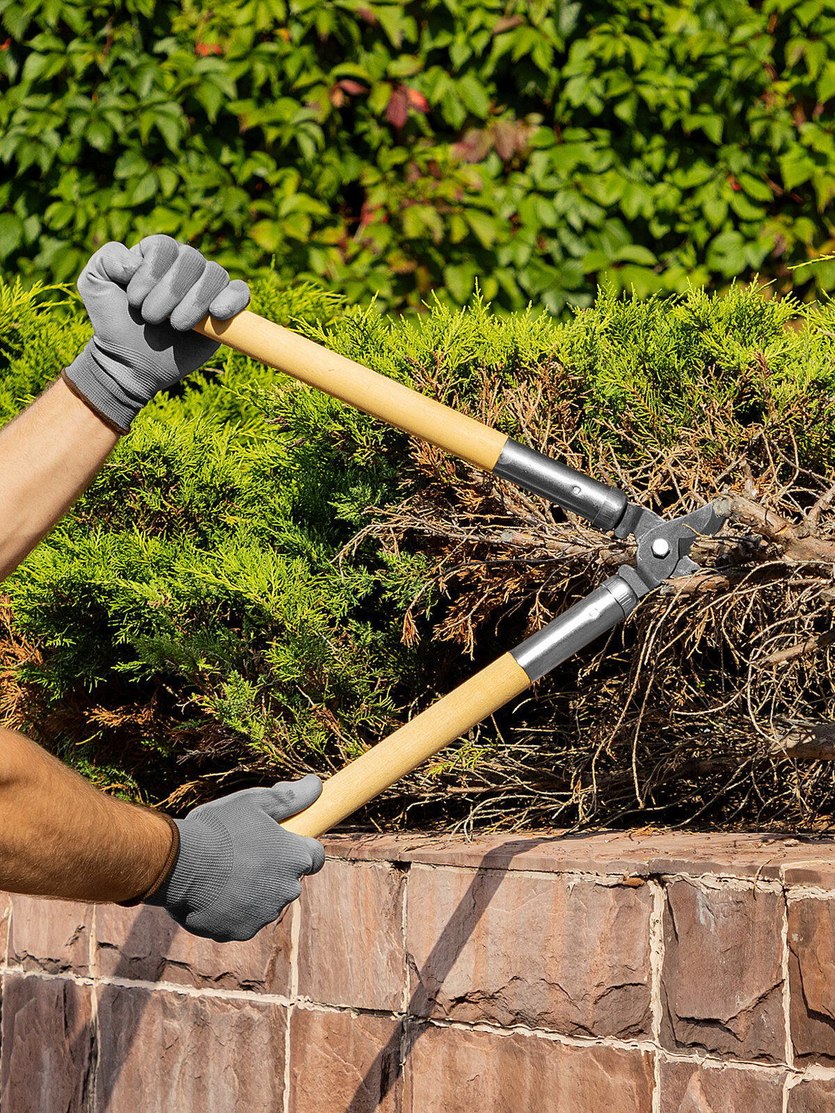 Сучкорез прямого реза Горизонт 500 мм  деревянные рукоятки 60815