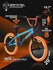 Велосипед BMX Tech Team "Goof" 20" бирюзово-оранжевый 2025, пеги ...