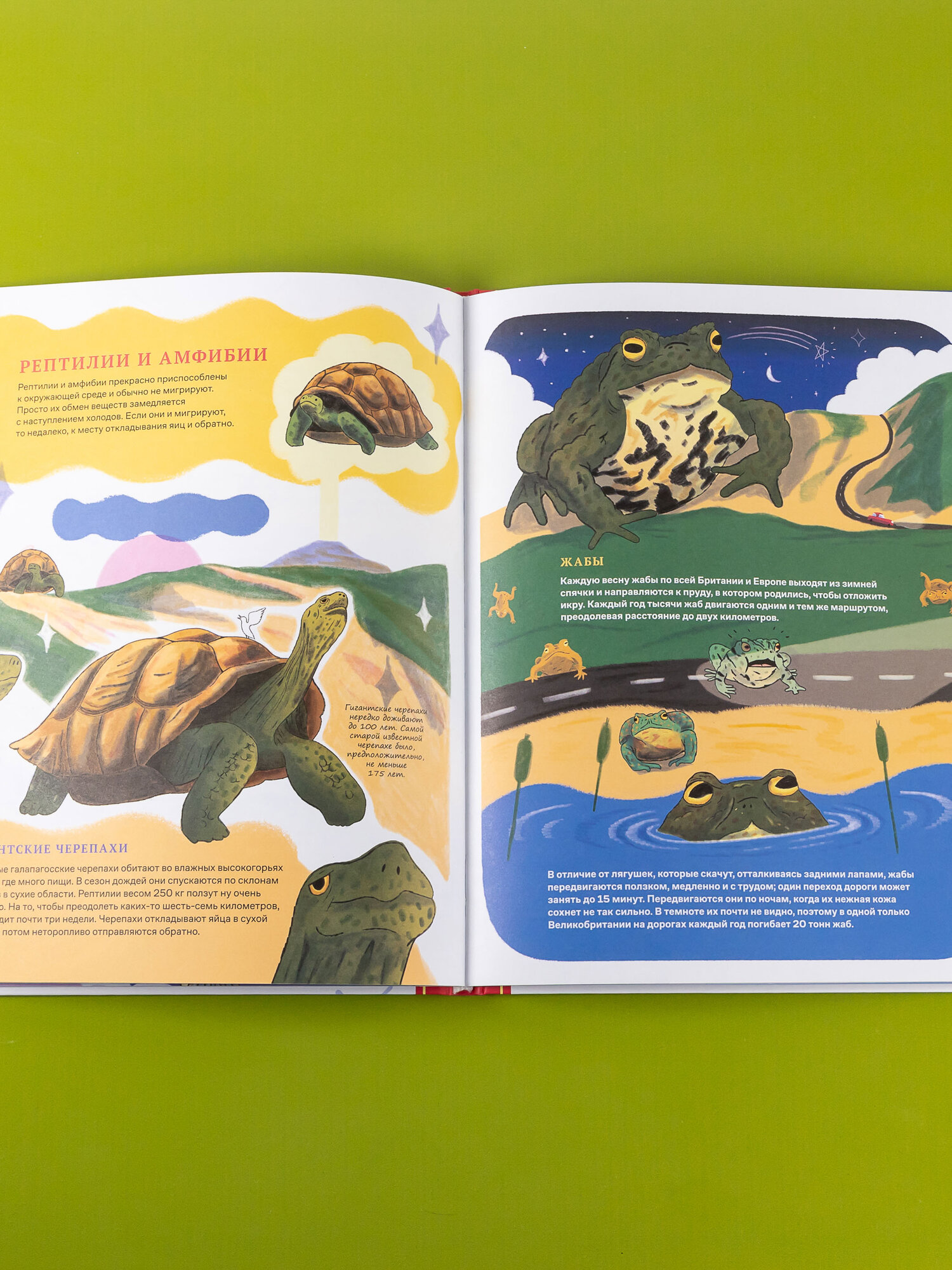 Невероятные странствия животных : навигация и миграция по воздуху, суше и морю - фото №5