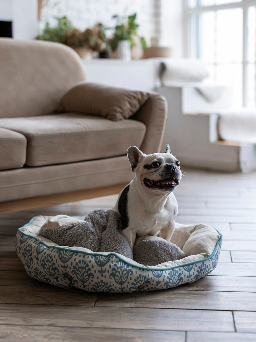 Картинки Лежанка для животных, для кошек, для собак, "Не Один Дома" Cчастливый сон, бежевый, L, 70х65х18 см