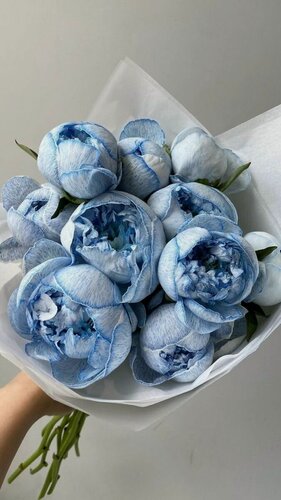 Изображение товара Букет из нежно - голубых пионов в стильной упаковке, 11 штук