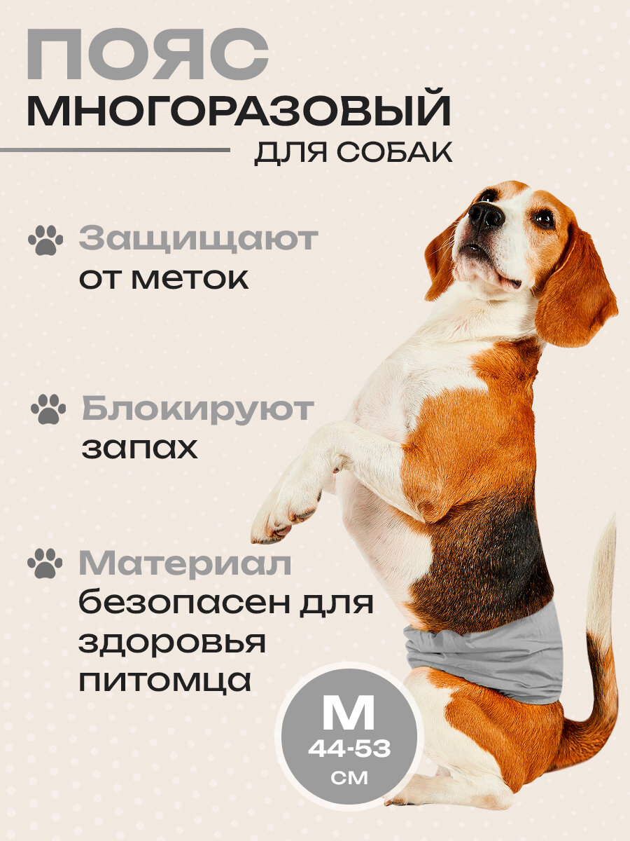 Пояс для кобелей "Big Tiny", многоразовый, размер M, для щенков