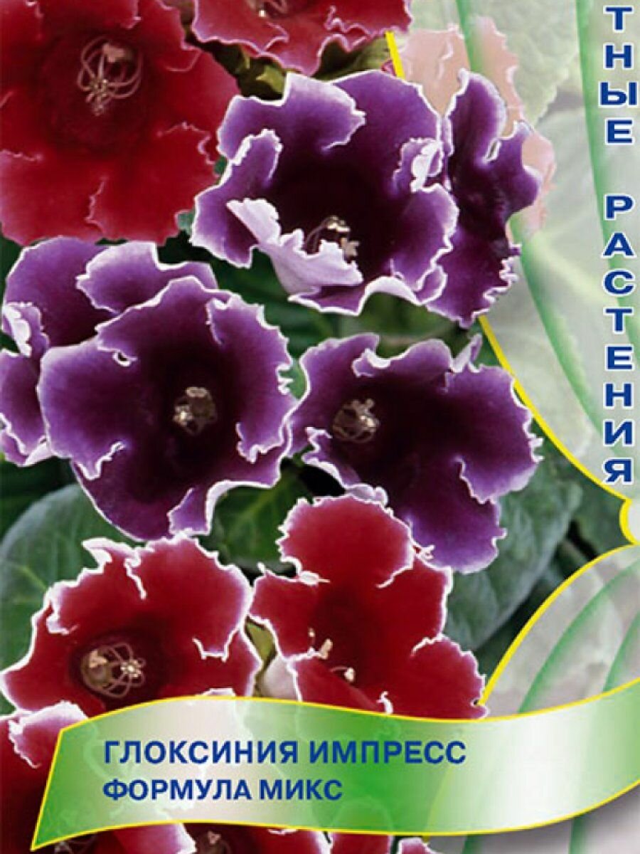 Семена Глоксиния Импресс Формула микс 5 Поиск