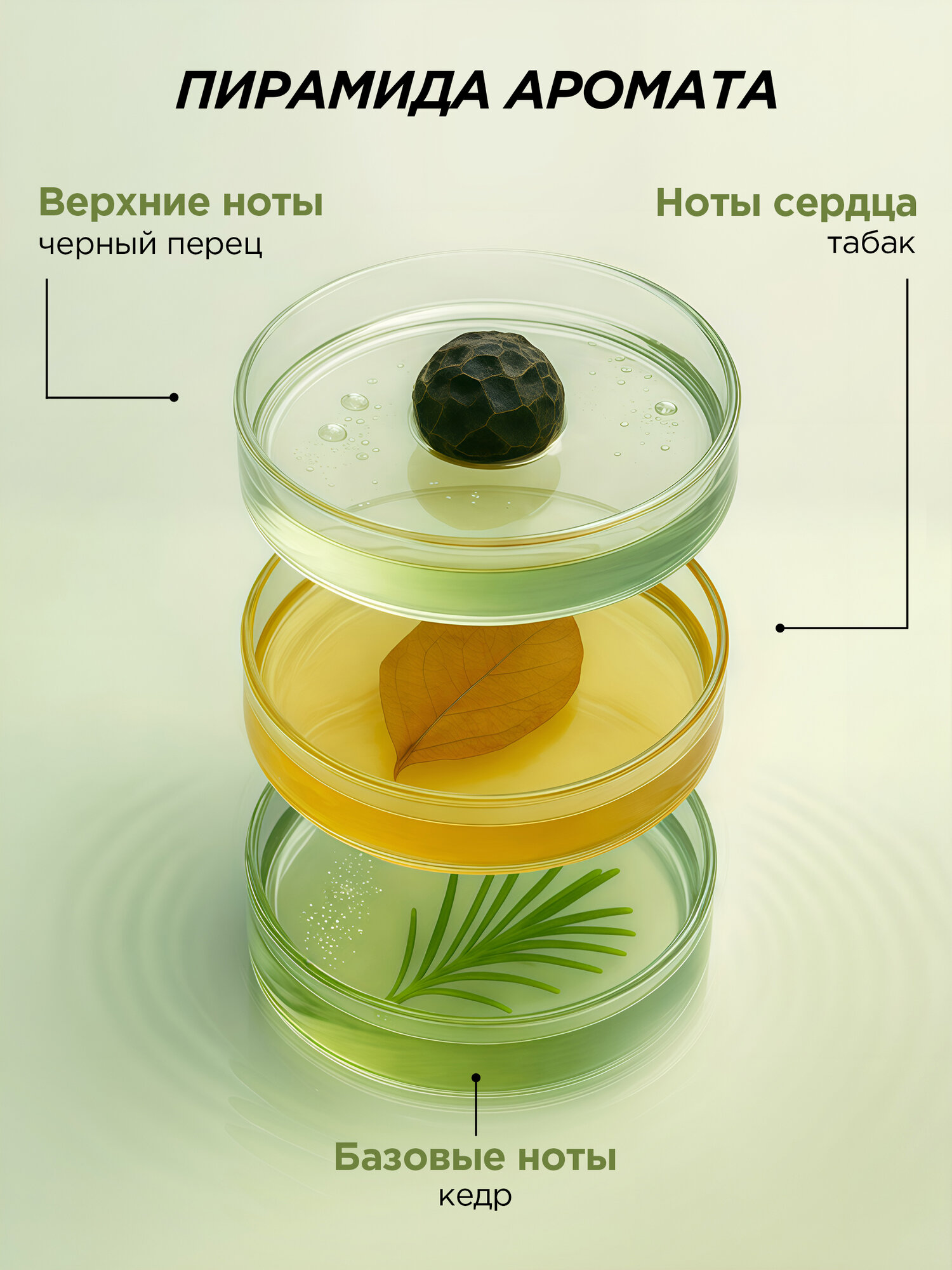 MIXIT Парфюмированный крем для рук и тела увлажняющий с маслом черного перца SPA RITUALS, 250 мл. — фото 1