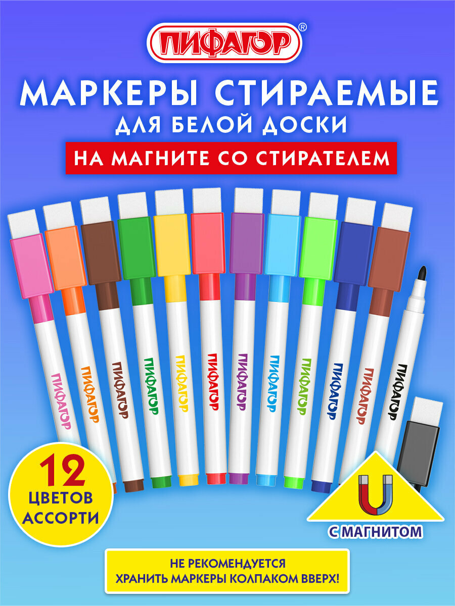 Маркеры для магнитной белой доски и планера стираемые набор 12 цветов, фломастеры на магните со стирателем-губкой для рисования и письма, 2 мм, Пифагор, 152564