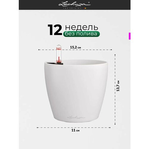 фото Кашпо для цветов суккулентов кактусов с автополивом пластиковое lechuza classico color 14 горшок настольный для декора