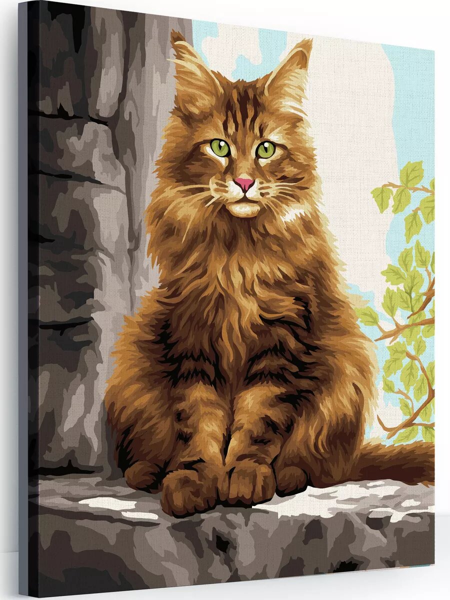Картина по номерам на холсте с подрамником 40х50 см Мейн-кун