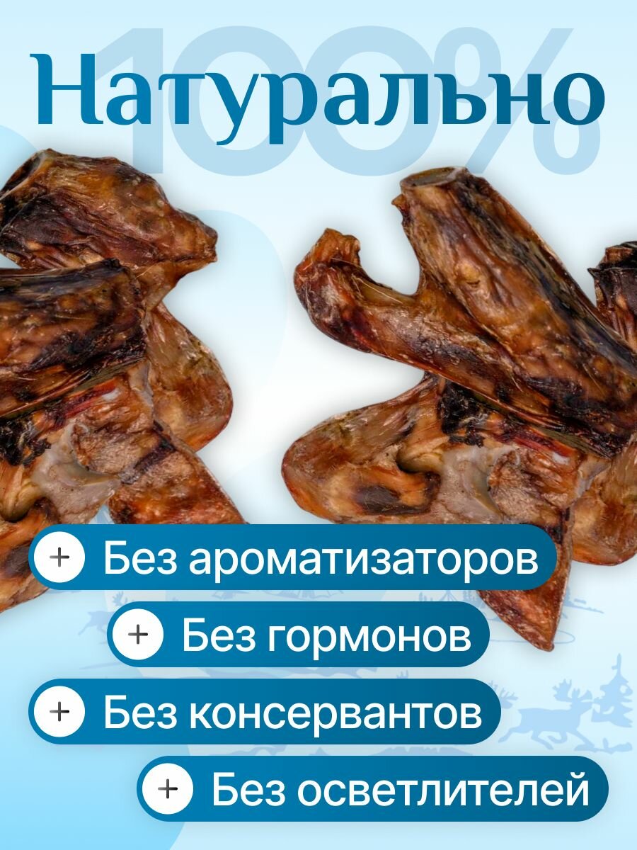 Сустав оленя 300 гр для крупных пород, лакомства для собак, полезные вкусняшки, Паюта — фото 1
