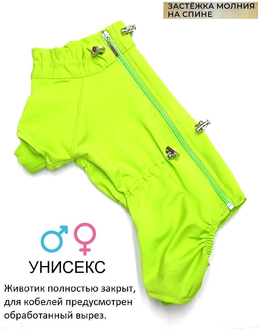 Пыльник для собак мелких пород по спинке 32см, зеленый (32см )