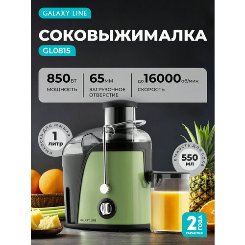 Соковыжималка GALAXY LINE GL0815, центробежная, 850 Вт, фильтр из нержавеющей стали