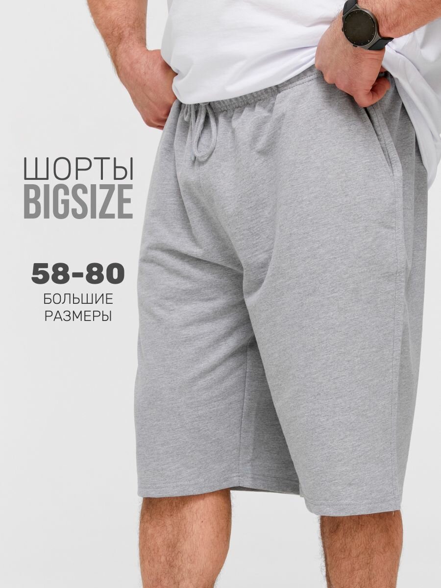 Шорты MR. BIGMAN, размер 70, серый меланж