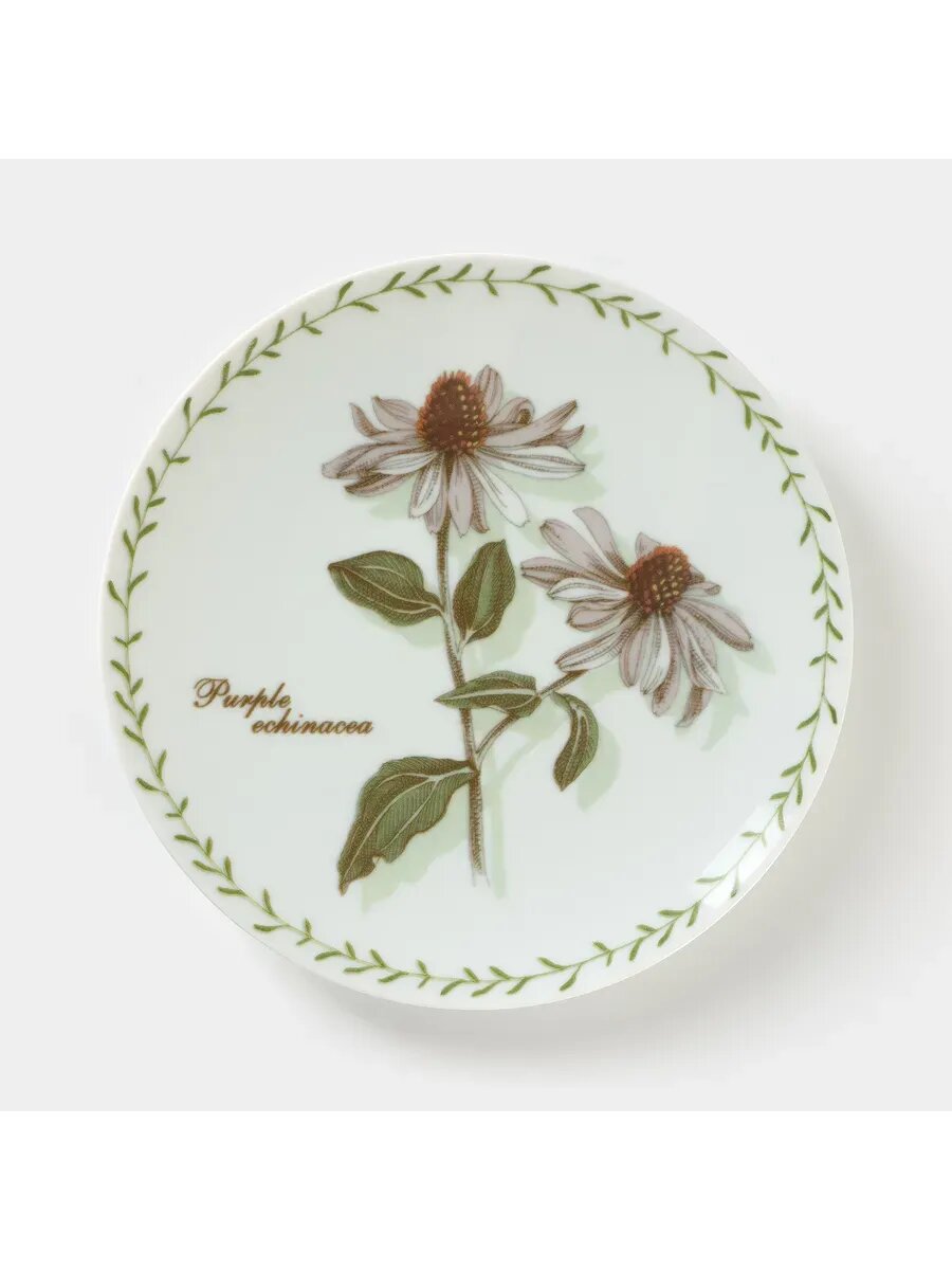 Тарелка фарфоровая «Ботаника»