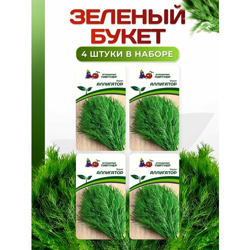 Набор семян: Зеленый букет, 4 упаковки укропа