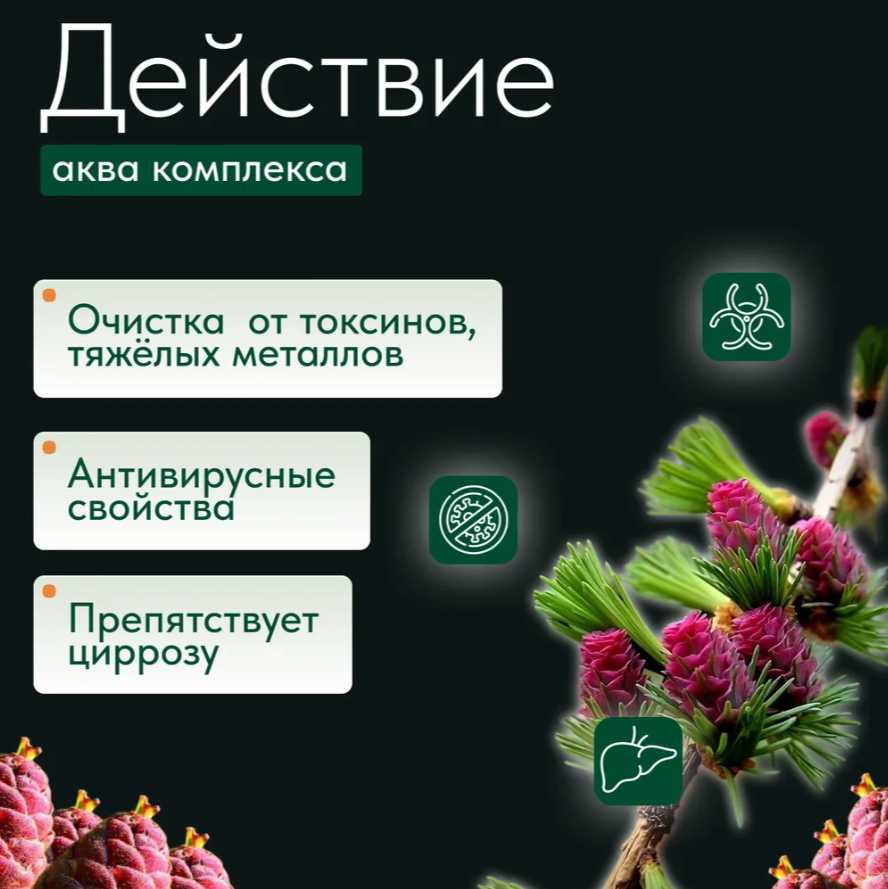 Биодон Аква Комплекс, фитококтейль для укрепления иммунитета, печени и сердца — фото 1