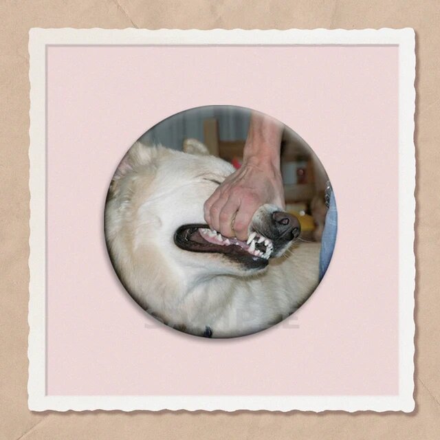 Значок Theta-Delta Therian, знак лисы, кошки, мультяшные мягкие пуговицы, брошь в виде сердца «I Like Therian», для сумки, декора одежды, подарки