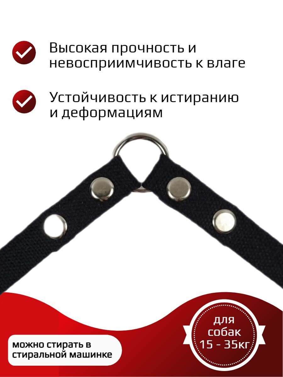 Поводок Хвостатыч для собак средних пород с карабином брезент х/б 3 м х 20 мм (черный) — фото 1