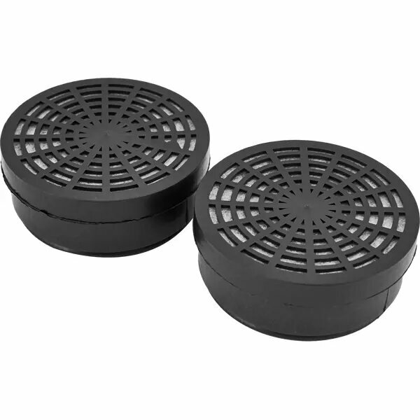 Фильтр сменный для РПГ-67 Исток 300/400 А1В1 2 шт.